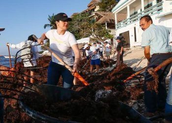 Trabajo en equipo para atender el sargazo: Estefanía Mercado