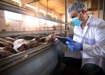 El importante papel del Médico Veterinario en la industria alimentaria del mundo