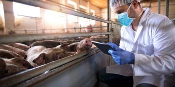 El importante papel del Médico Veterinario en la industria alimentaria del mundo