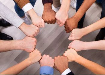 Universidad ¿unidad en la diversidad?