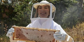 Día Mundial de la Abeja, una dulce conmemoración