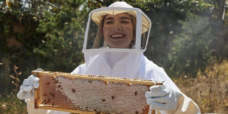 Día Mundial de la Abeja, una dulce conmemoración