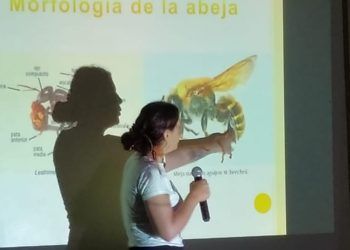 La Fundación Eco-Bahia ofreció la ponencia “Melipona beecheii”  la abeja sagrada maya