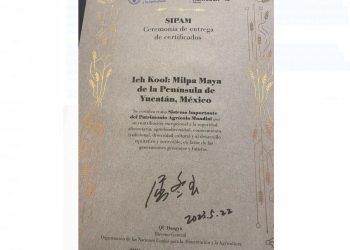 La milpa maya, patrimonio agrícola mundial