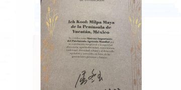 La milpa maya, patrimonio agrícola mundial