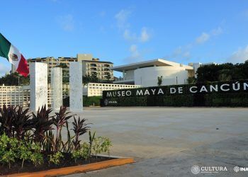 Museo Maya de Cancún, Conabio y Cultura Down convocan al concurso “Pinta la flora de Quintana Roo”