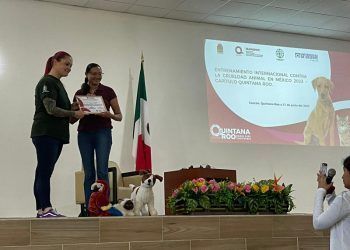 Humane Society International capacitó a funcionarios encargados de hacer cumplir la ley para investigar la crueldad hacia los animales en cuatro estados mexicanos