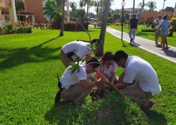 Bajo la campaña “Una persona un árbol” del movimiento Somos Ecoístas se plantan más de 400 árboles