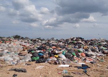 ¿Y la Agenda 2030 en Medio Ambiente?