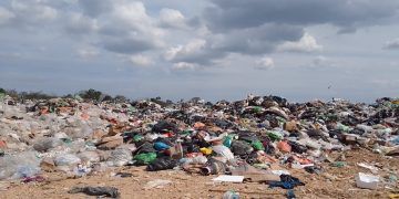 ¿Y la Agenda 2030 en Medio Ambiente?
