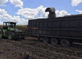 Concluye la zafra 2022-2023 para Quintana Roo