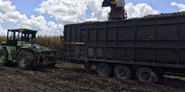 Concluye la zafra 2022-2023 para Quintana Roo