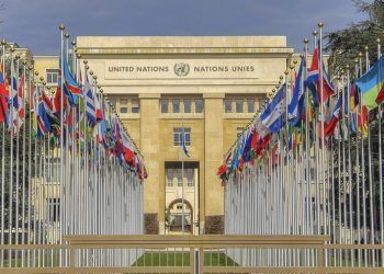 Expertos de la ONU hacen un llamado para poner fin a la “guerra contra las drogas” global