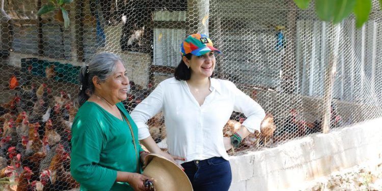 Estefanía Mercado impulsa al campo solidarense