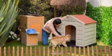 Ideas para transformar el espacio de tu mascota