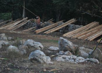 La deuda con los mayas quintanarroenses