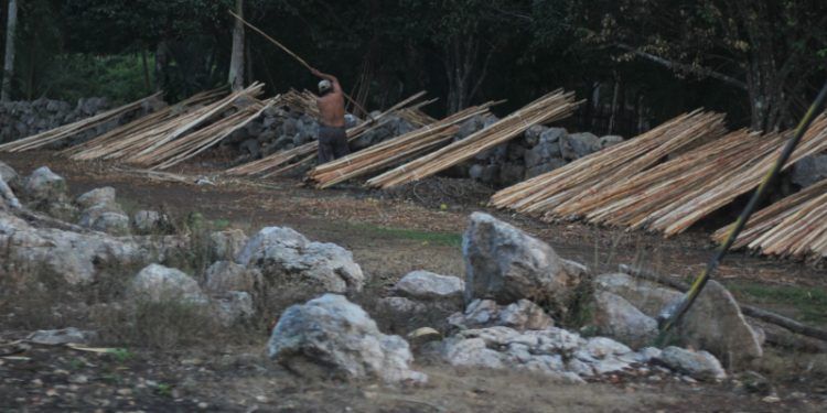 La deuda con los mayas quintanarroenses