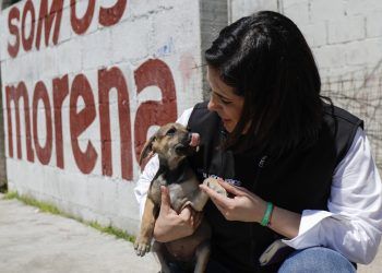 Propone Estefanía Mercado endurecer sanciones por maltrato animal