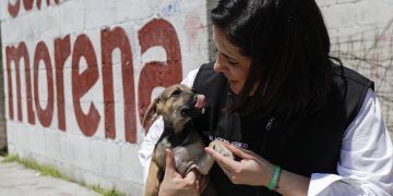 Propone Estefanía Mercado endurecer sanciones por maltrato animal