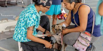 Gobierno de Diego Castañón activa campaña de esterilización canina y felina en Tulum
