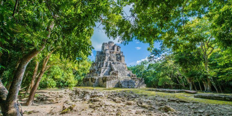 Opiniones desde comunidades mayas: el bastón y maya Ka’an