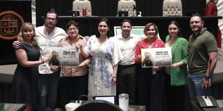Cruzada por la vida, propone Estefanía Mercado Ley de Prevención del Suicidio para Quintana Roo