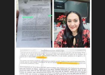 Elda Xix, Diputada de la #XVII Legislatura posible cómplice de sustracción de menores 