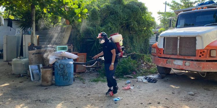 Estefanía Mercado pone en marcha intensa campaña contra el dengue en Playa del Carmen