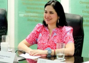 Llama Estefanía Mercado a dar toda la ayuda posible para Guerrero: Estefanía Mercado