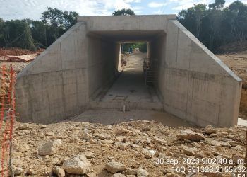SEMA plantea incluir en el Presupuesto de Egresos de la Federación 2024 proyectos para preservar la fauna silvestre