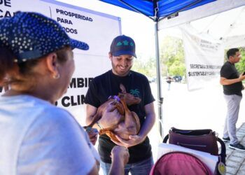 Avanza padrón de mascotas en Playa del Carmen; realizan segunda entrega de microchips