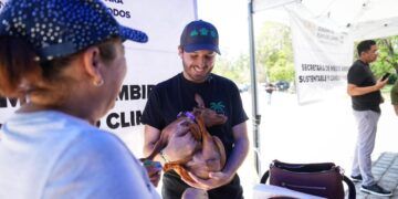 Avanza padrón de mascotas en Playa del Carmen; realizan segunda entrega de microchips