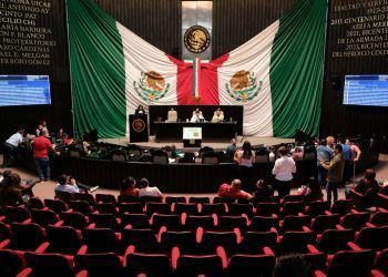 Incrementa XVII Legislatura sanciones penales contra la crueldad animal