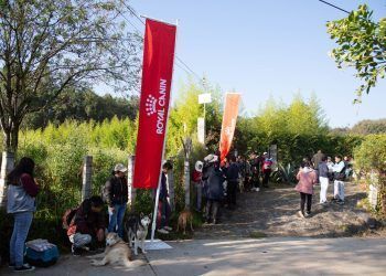 Superan meta de esterilizaciones gratuitas en Edomex 