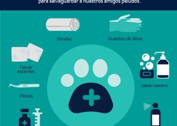 Así puedes armar un botiquín casero para tus mascotas