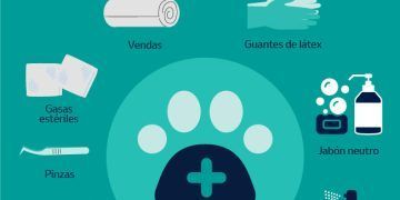 Así puedes armar un botiquín casero para tus mascotas