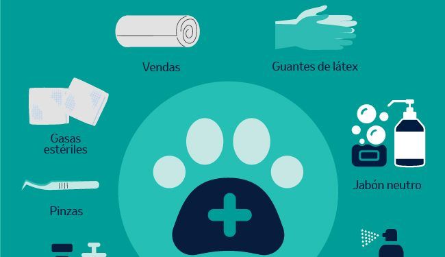 Así puedes armar un botiquín casero para tus mascotas