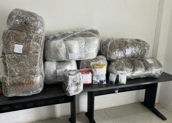 Asegura Fiscalía droga en cateo en un domicilio en Solidaridad