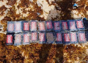 Ejército Mexicano asegura droga en Quintana Roo