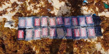 Ejército Mexicano asegura droga en Quintana Roo