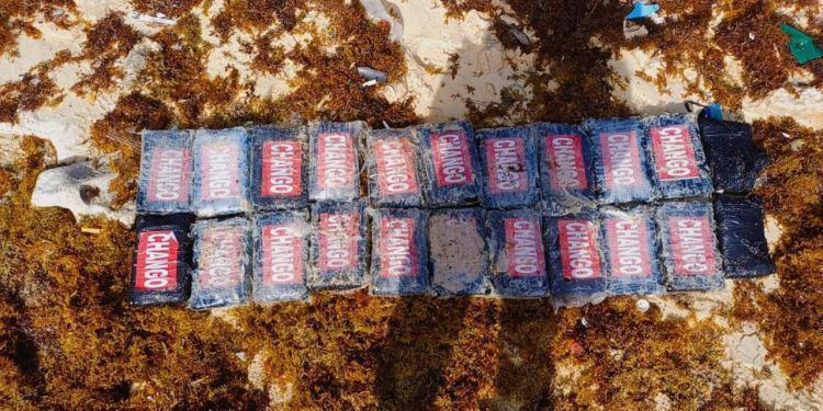 Ejército Mexicano asegura droga en Quintana Roo