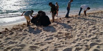 Secundaria Técnica No. 23 «Juan Rulfo» vive una experiencia de educación ambiental en Bahia Principe Riviera Maya Resort