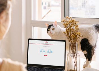 ¿Estamos preparados para la mascota del futuro?