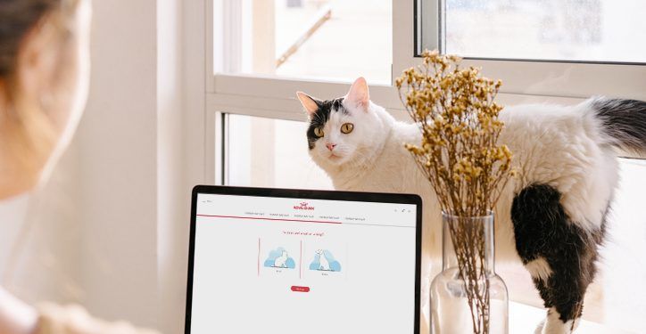 ¿Estamos preparados para la mascota del futuro?