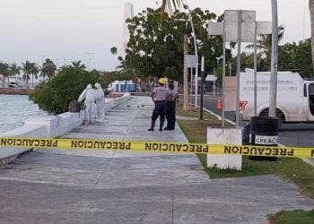Hallazgo Macabro en el Bulevar Bahía de Chetumal