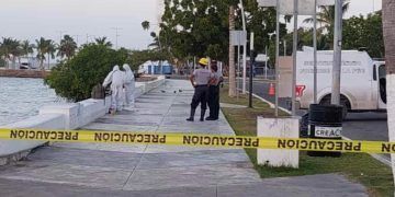 Hallazgo Macabro en el Bulevar Bahía de Chetumal