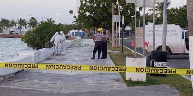 Hallazgo Macabro en el Bulevar Bahía de Chetumal