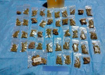 FGE Quintana Roo, Sedena y Guardia Nacional logran importantes aseguramientos en operativos conjuntos