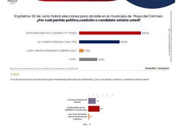 La 4T y Estefanía Mercado Lideran las Preferencias en Solidaridad Según Encuestas