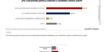 La 4T y Estefanía Mercado Lideran las Preferencias en Solidaridad Según Encuestas